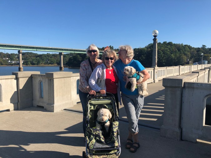 6663CF23-41A7-4843-9B0B-1F69493231D5