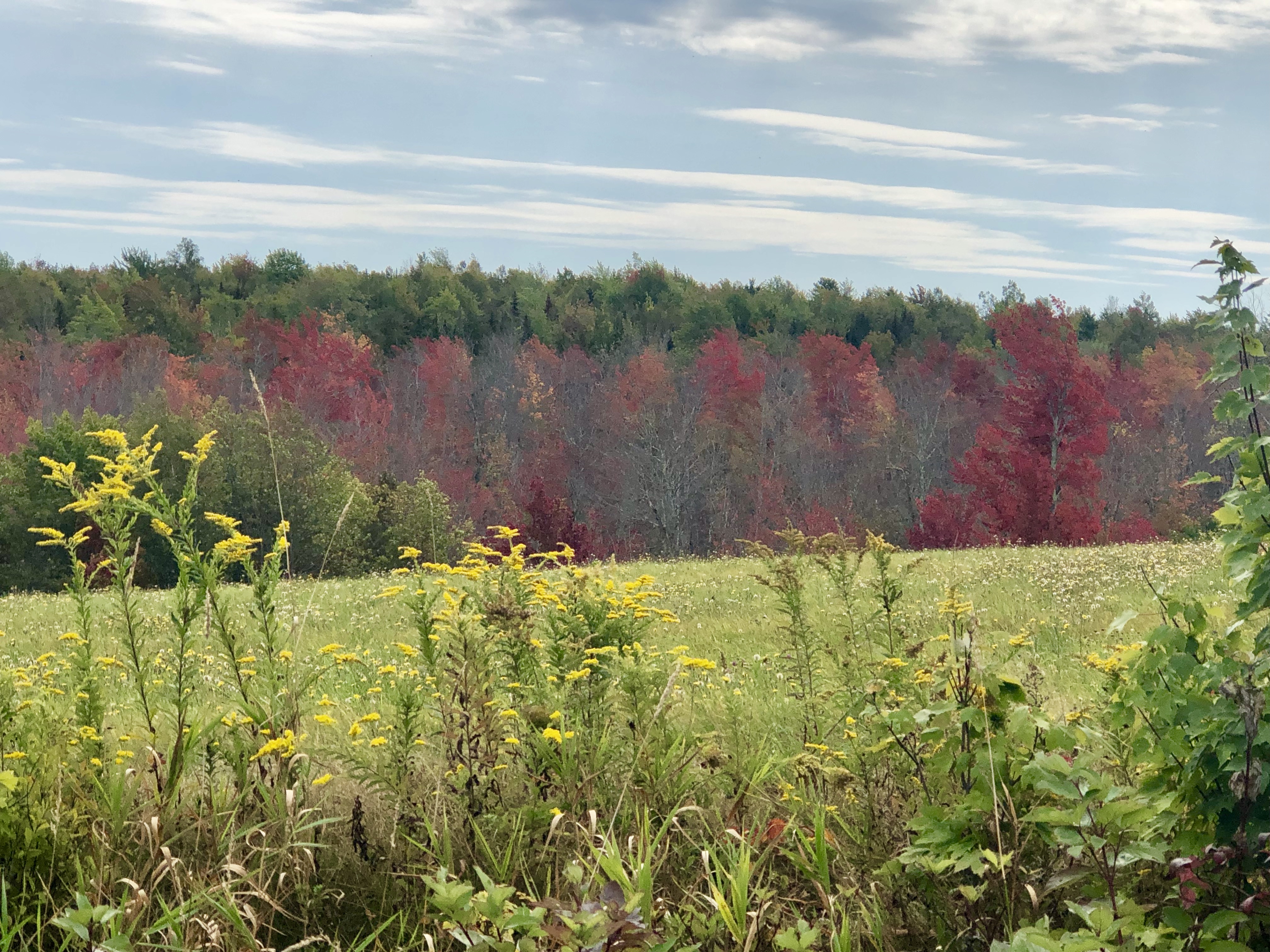 766F9CAA-2E64-4982-AA97-118EA2B39310